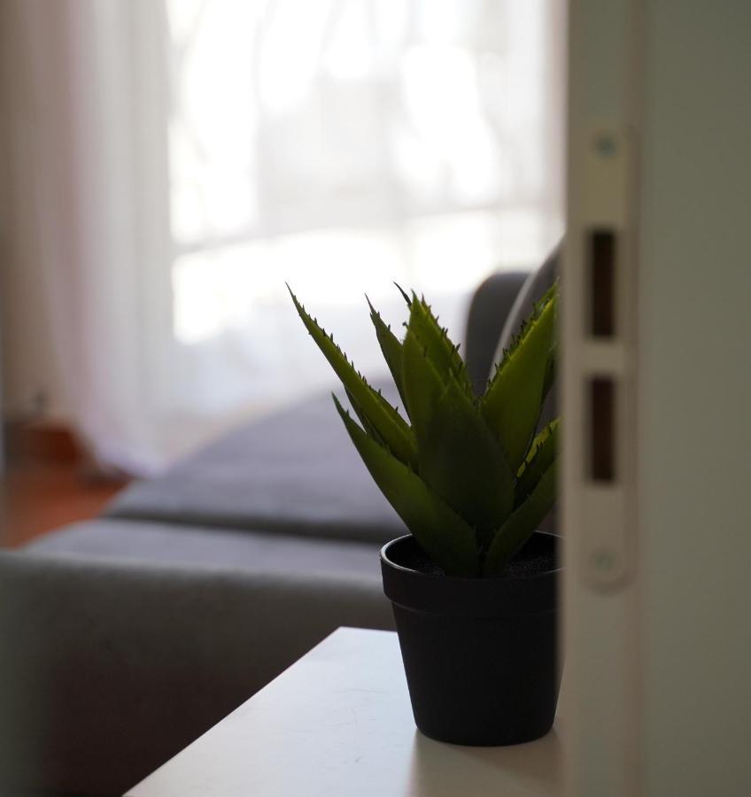 Stylish Apartment Near Tirana Center 外观 照片