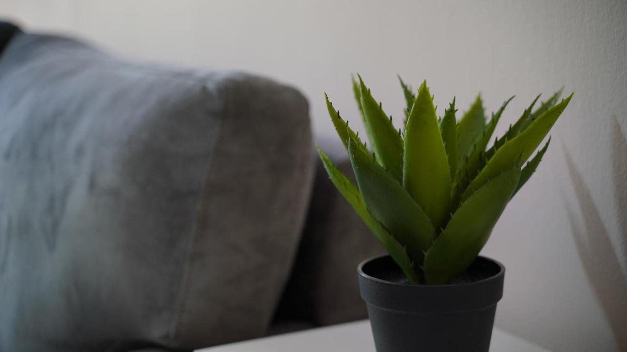 Stylish Apartment Near Tirana Center 外观 照片
